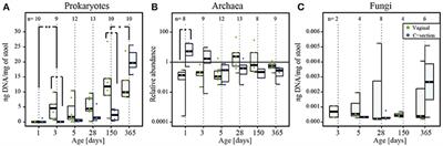 Colonization and Succession within the Human Gut Microbiome by Archaea, Bacteria, and Microeukaryotes during the First Year of Life